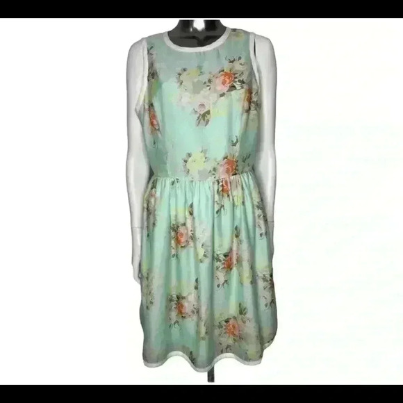 Piperlime Dresses & Skirts - Piperlime Floral Dress Sleeveless Dress Floral Size Medium